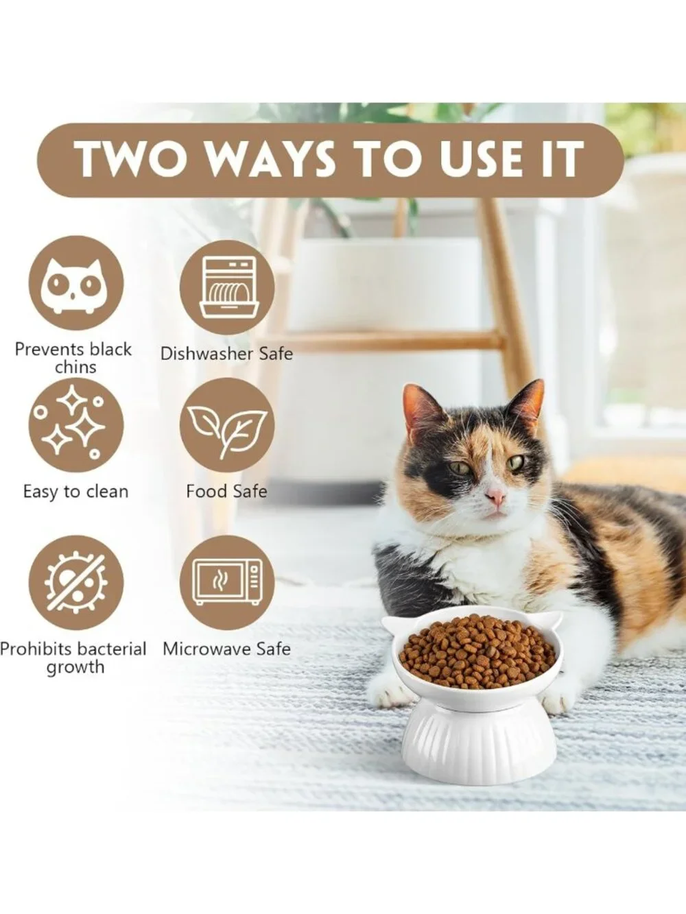 6 Pack Tilted Ceramic Cat Bowls - Anti-Vomiting, Elevated Feeder for Cats